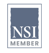 NSI Logo